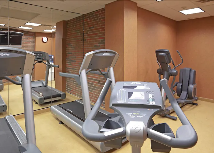 Holiday Inn Niagara Falls-By The Falls By Ihg